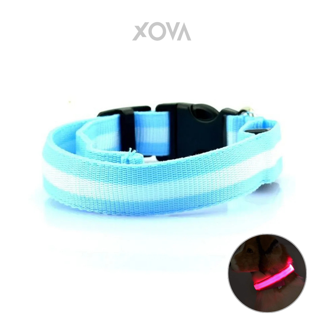 Nylon LED Pet Dog Luminous Collar Night Safety
