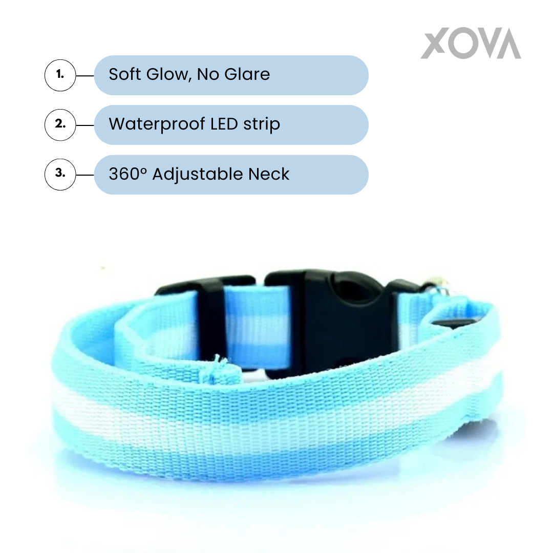 Nylon LED Pet Dog Luminous Collar Night Safety