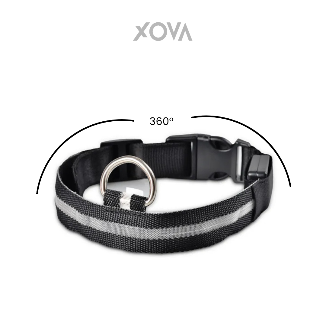 Nylon LED Pet Dog Luminous Collar Night Safety