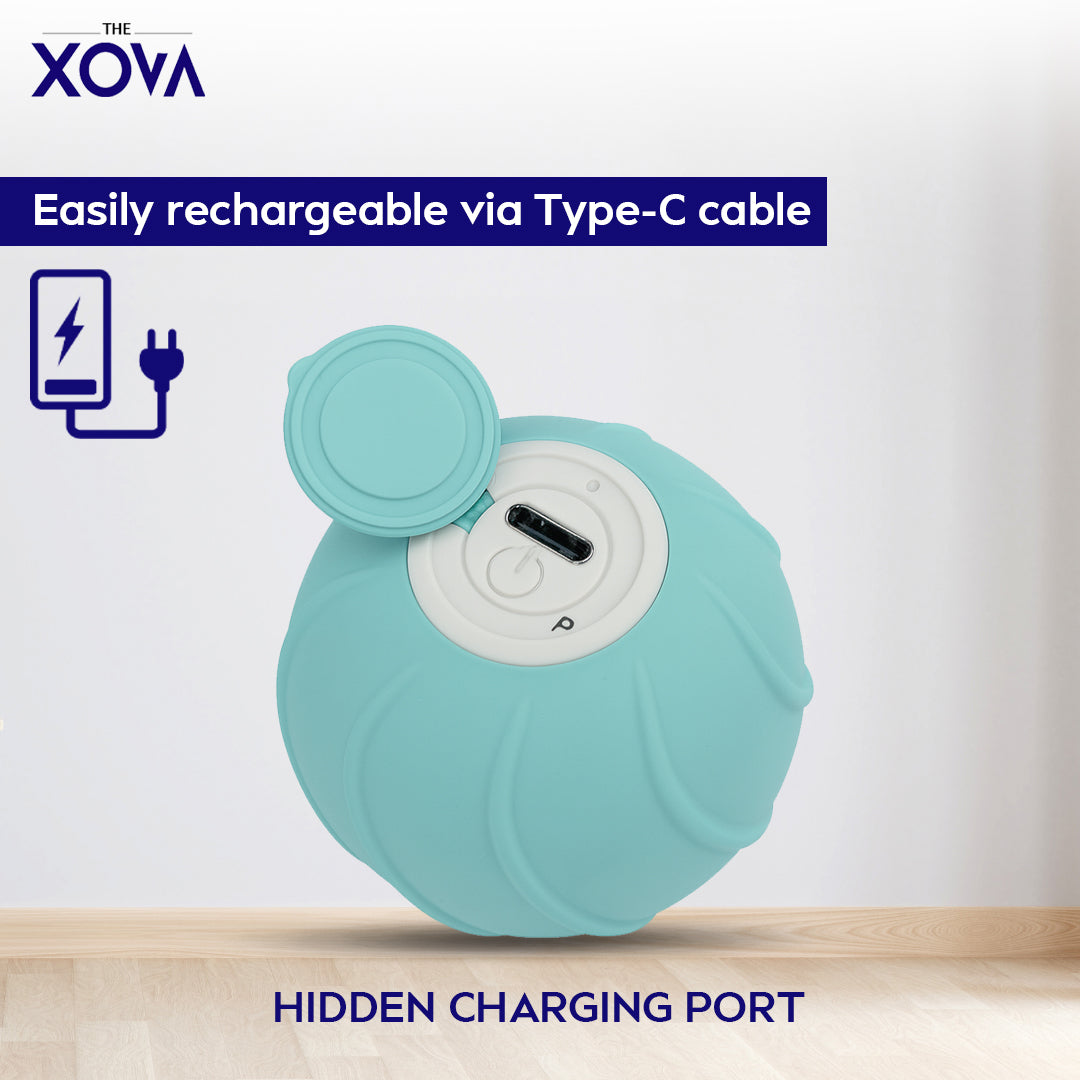 Xova Auto pet Ball