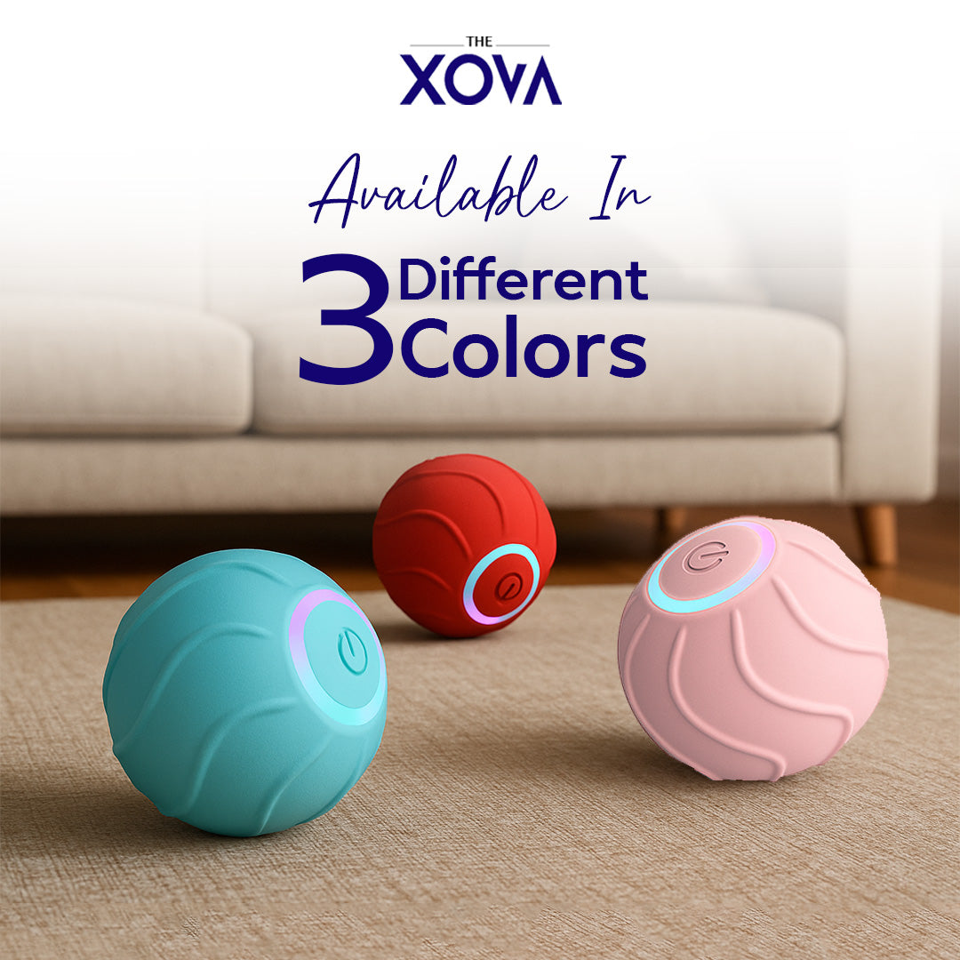Xova Auto pet Ball