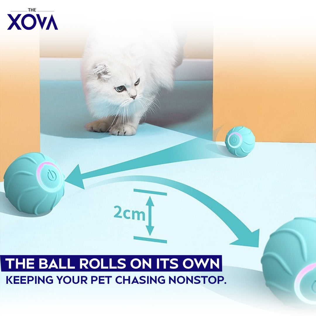 Xova Auto pet Ball
