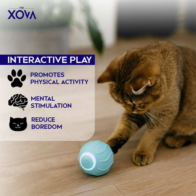 Xova Auto pet Ball