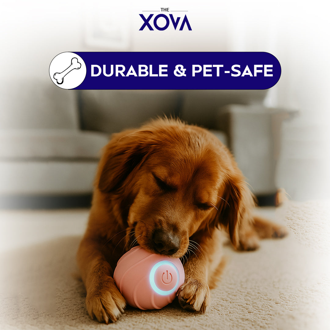Xova Auto pet Ball