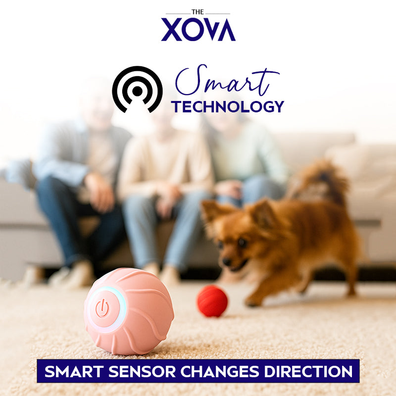 Xova Auto pet Ball