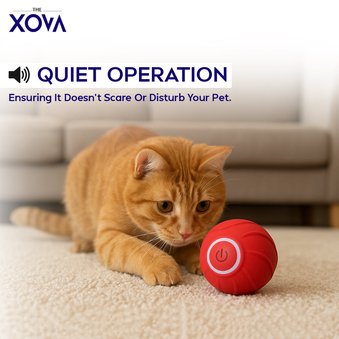 Xova Auto pet Ball