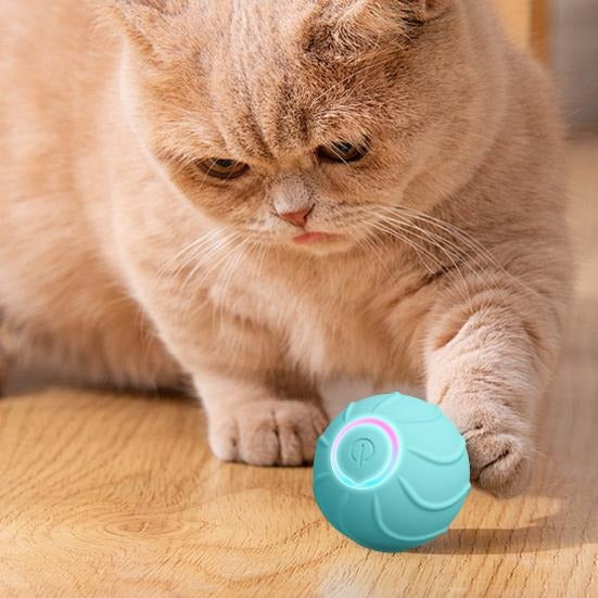 Xova Auto pet Ball