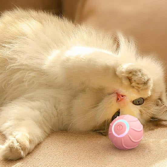 Xova Auto pet Ball