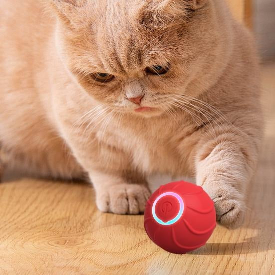 Xova Auto pet Ball