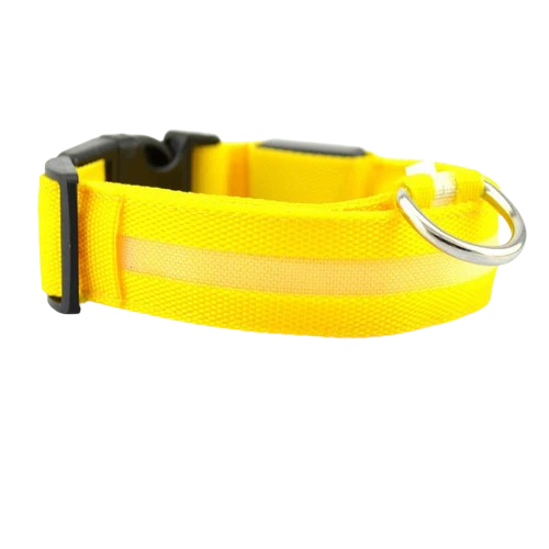 Nylon LED Pet Dog Luminous Collar Night Safety