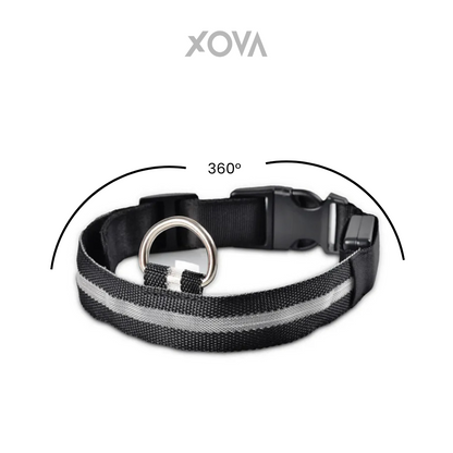 Nylon LED Pet Dog Luminous Collar Night Safety