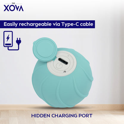 Xova Auto pet Ball