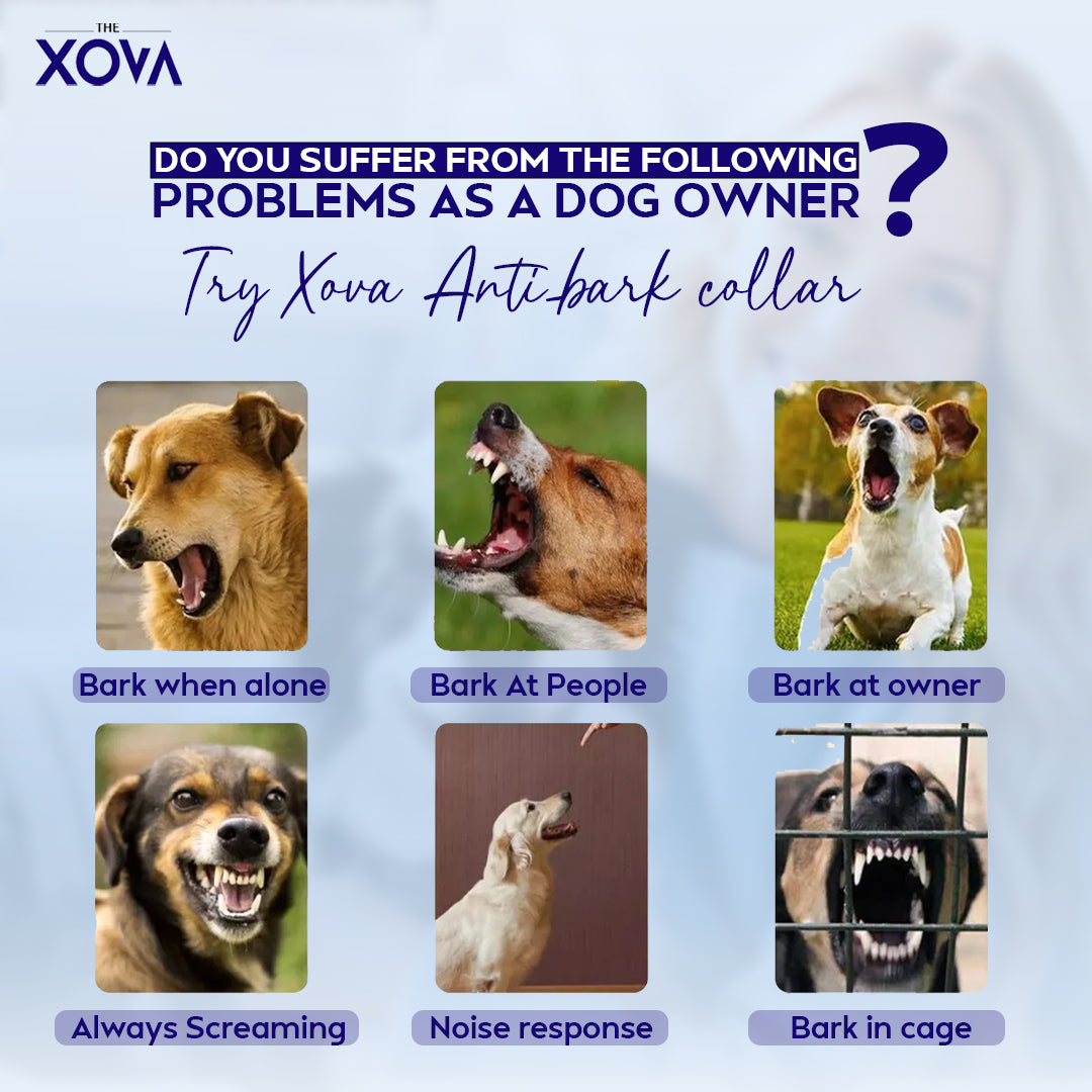 Xova Smart Anti Barking Dog Collar