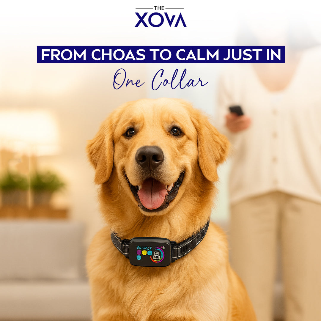 Xova Smart Anti Barking Dog Collar