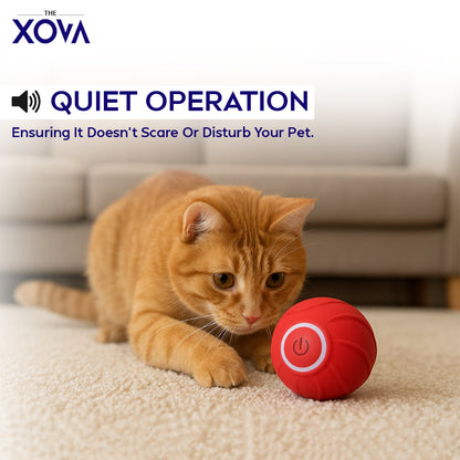 Xova Auto pet Ball