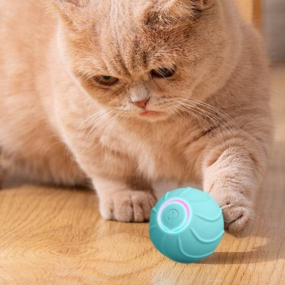 Xova Auto pet Ball